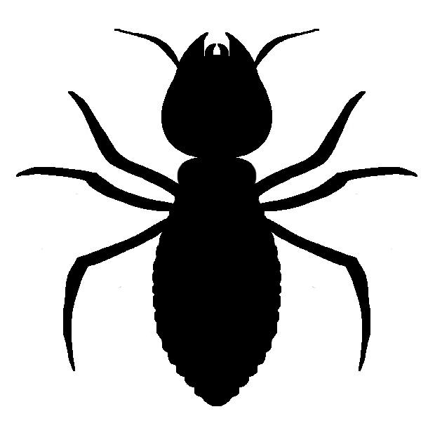 termite-inspection-and-treatment