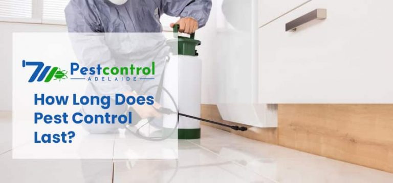 How Long Does Pest Control Last?