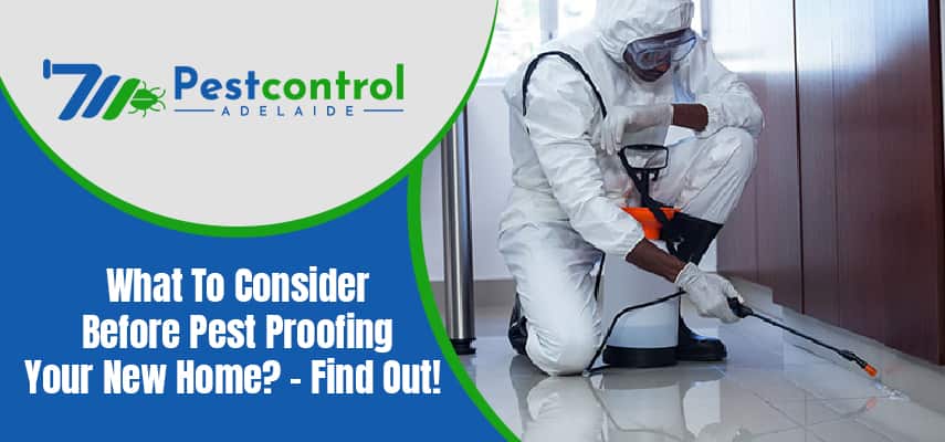 What To Consider Before Pest Proofing Your New Home? 