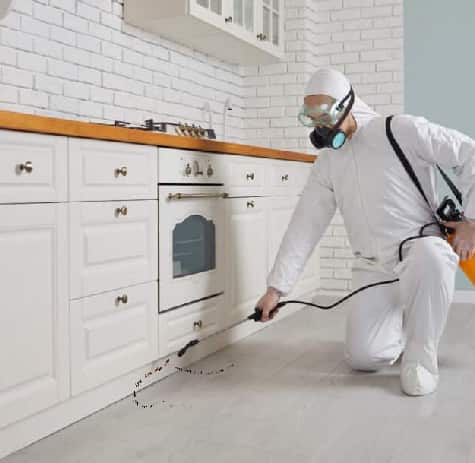Pest Removal Services