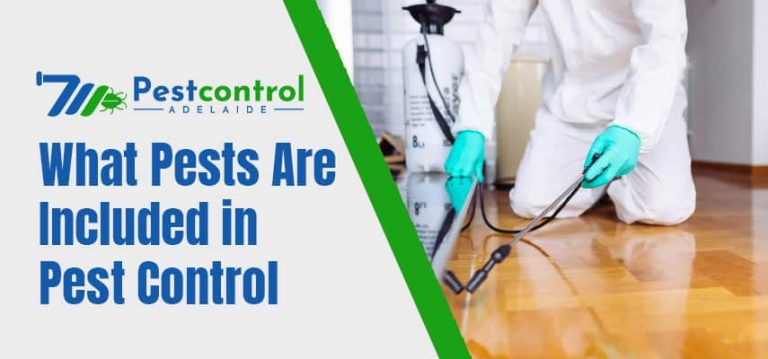 What Pests Are Included in Pest Control