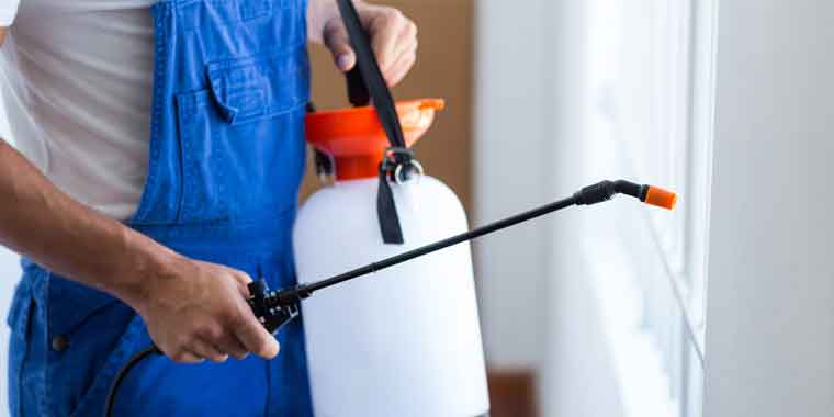 Professional Pest Removal Bletchley
