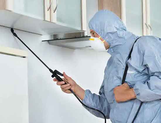 Preventing Pest Problems In Your House