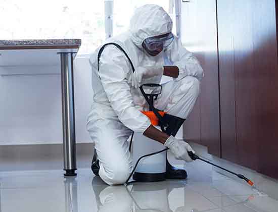 Residential Pest Control Services in Prospect